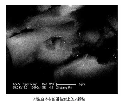 粉状活性炭߻