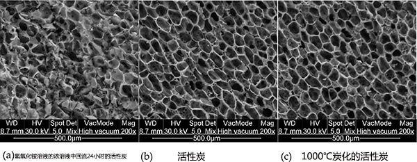 粉状活性炭ĵ΢SEM